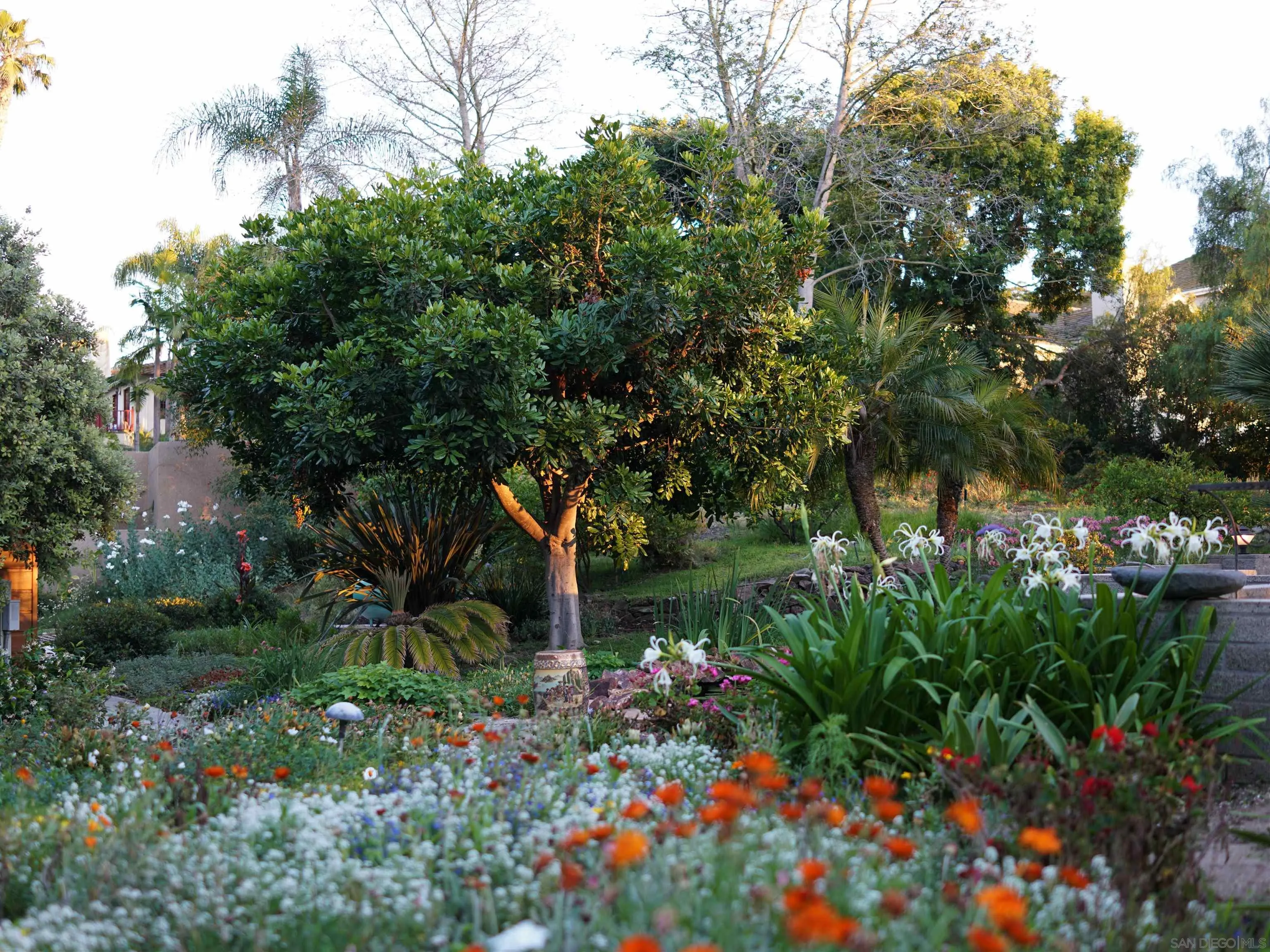 14430 Rancho Santa Fe Farms Road Rancho Santa Fe, CA 92067 - Photo 6 of 51 a backyard of a house with lots of green space and garden