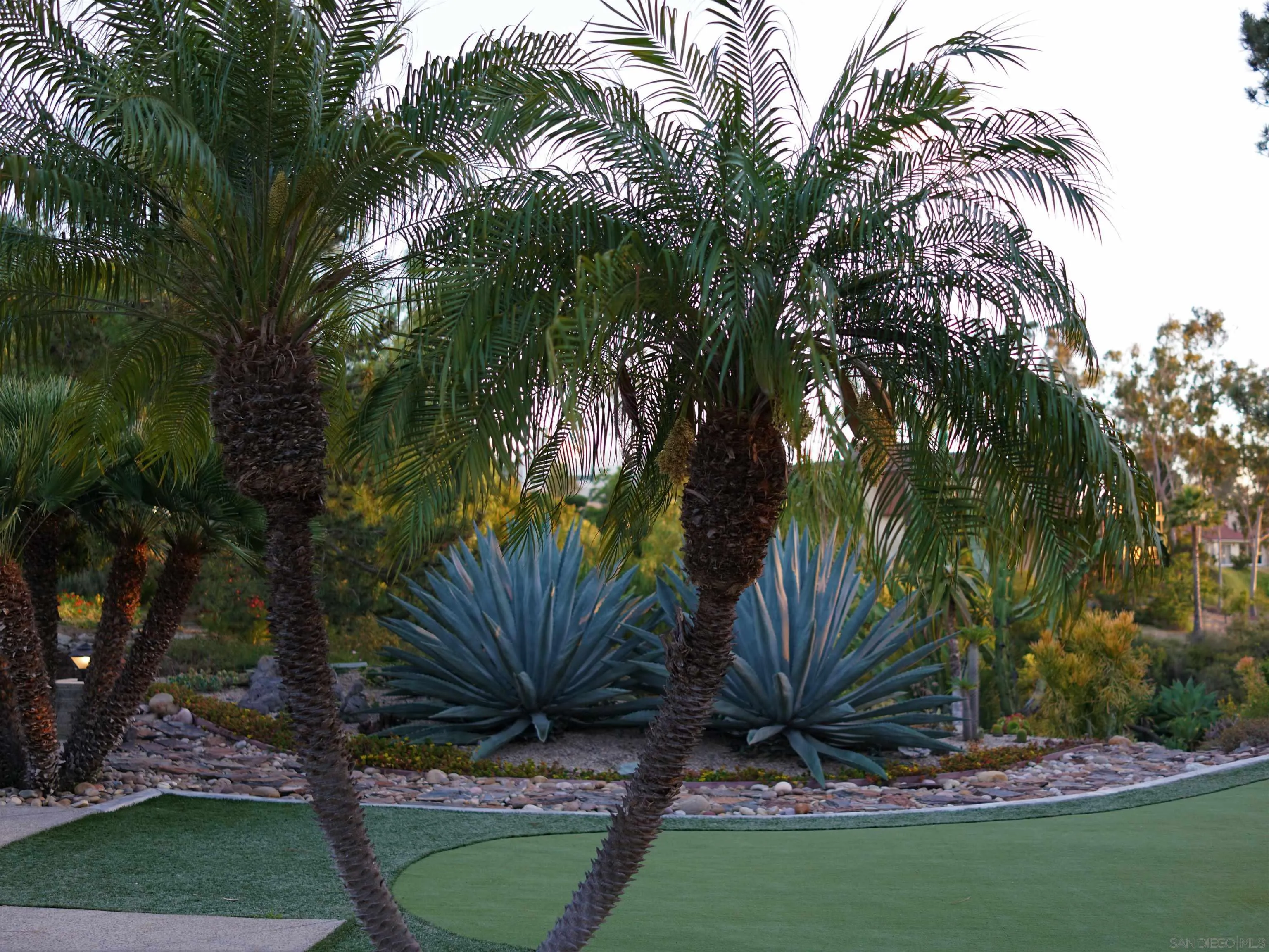 14430 Rancho Santa Fe Farms Road Rancho Santa Fe, CA 92067 - Photo 7 of 51 a view of a park with a tree