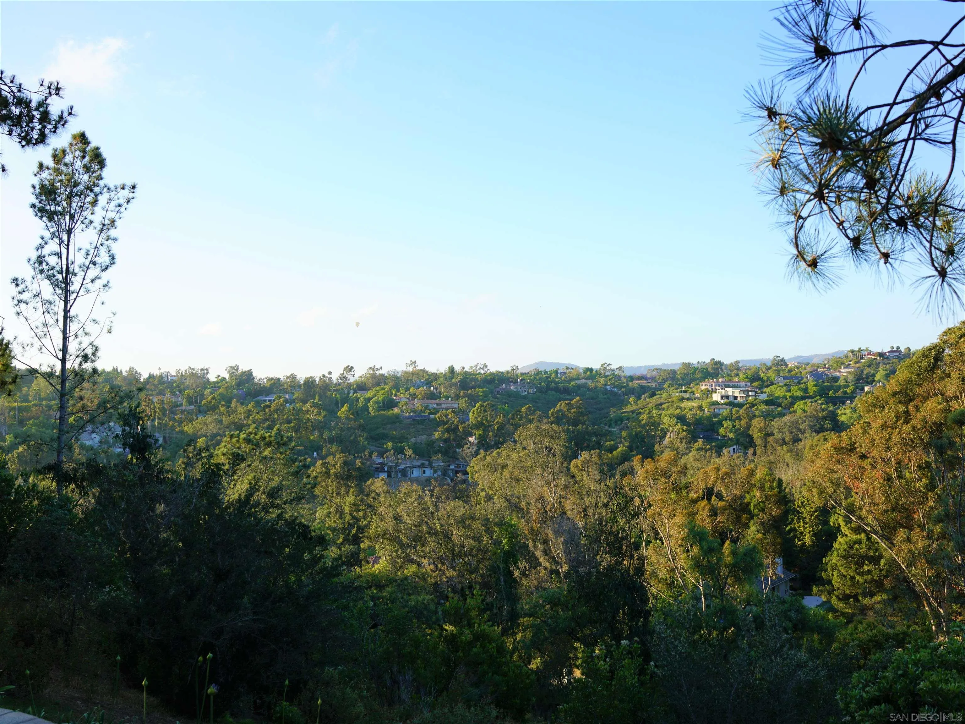 14430 Rancho Santa Fe Farms Road Rancho Santa Fe, CA 92067 - Photo 8 of 51 a view of a trees in a field