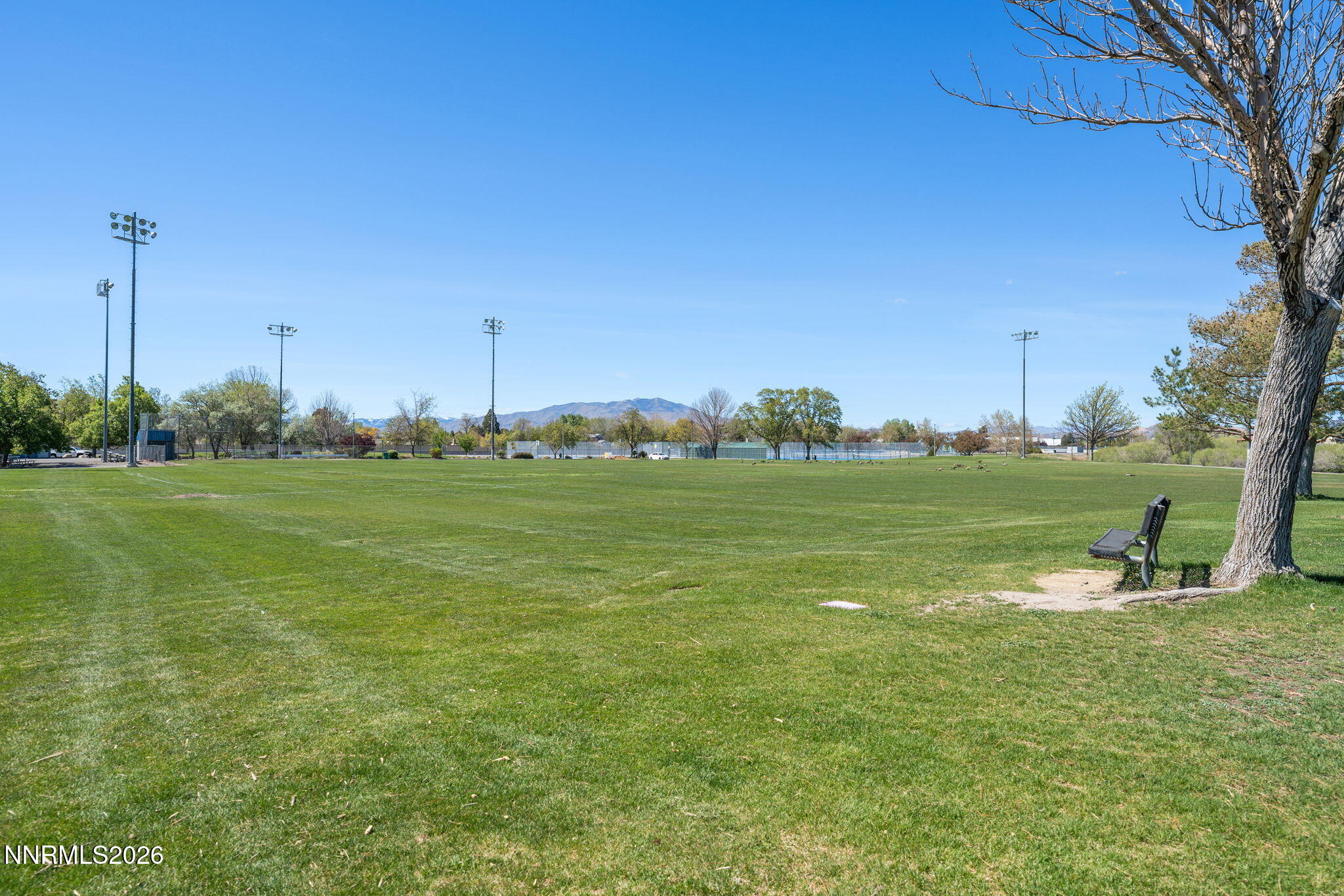 3123 Winter Rose Circle Reno, NV 89502 - Photo 31 of 32 34-web-or-mls-3123 Winter Rose-35