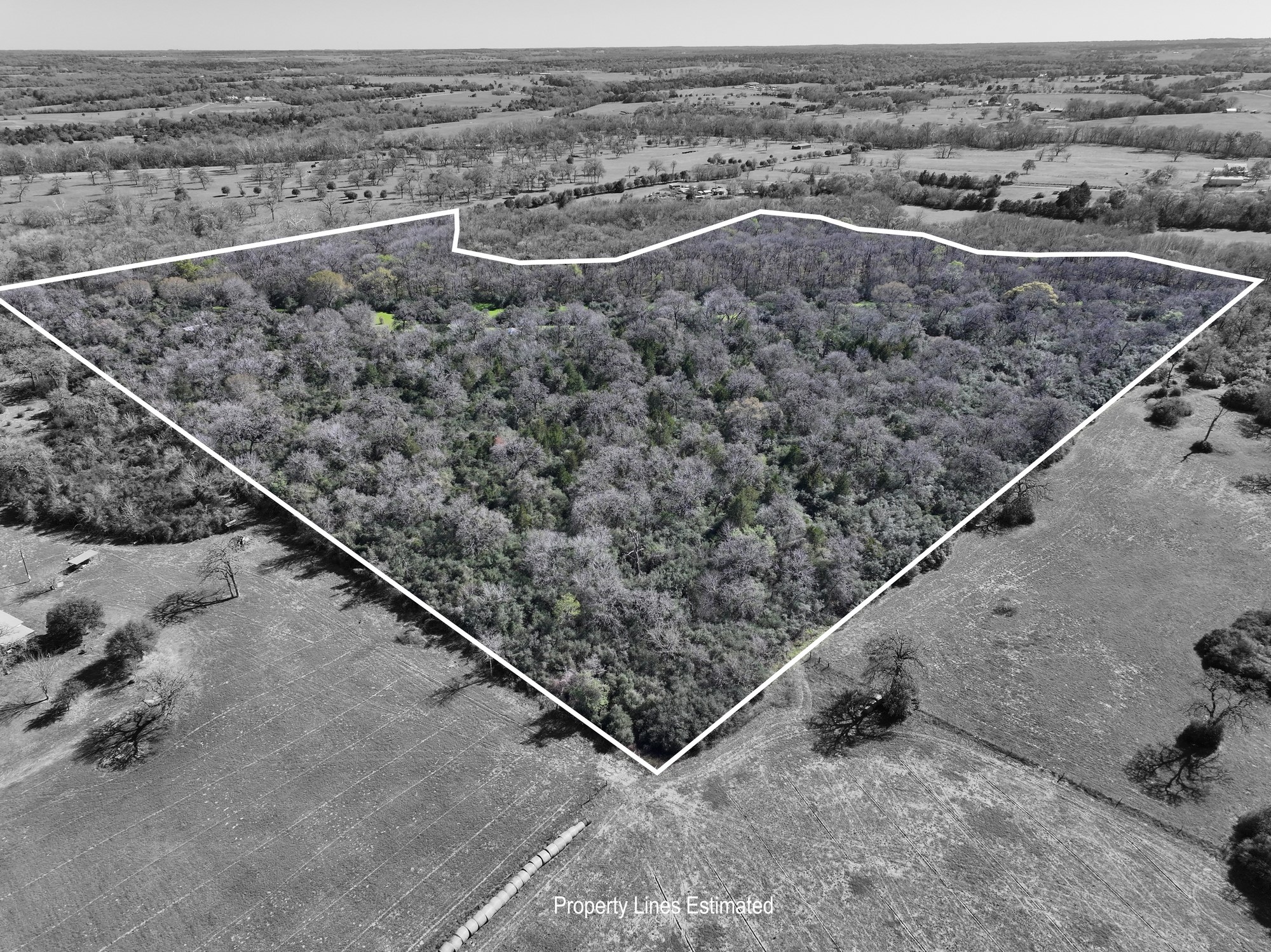 0 Zettel Road New Ulm, TX 78950 - Photo 9 of 11