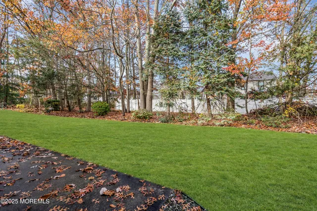 a view of yard with tree
