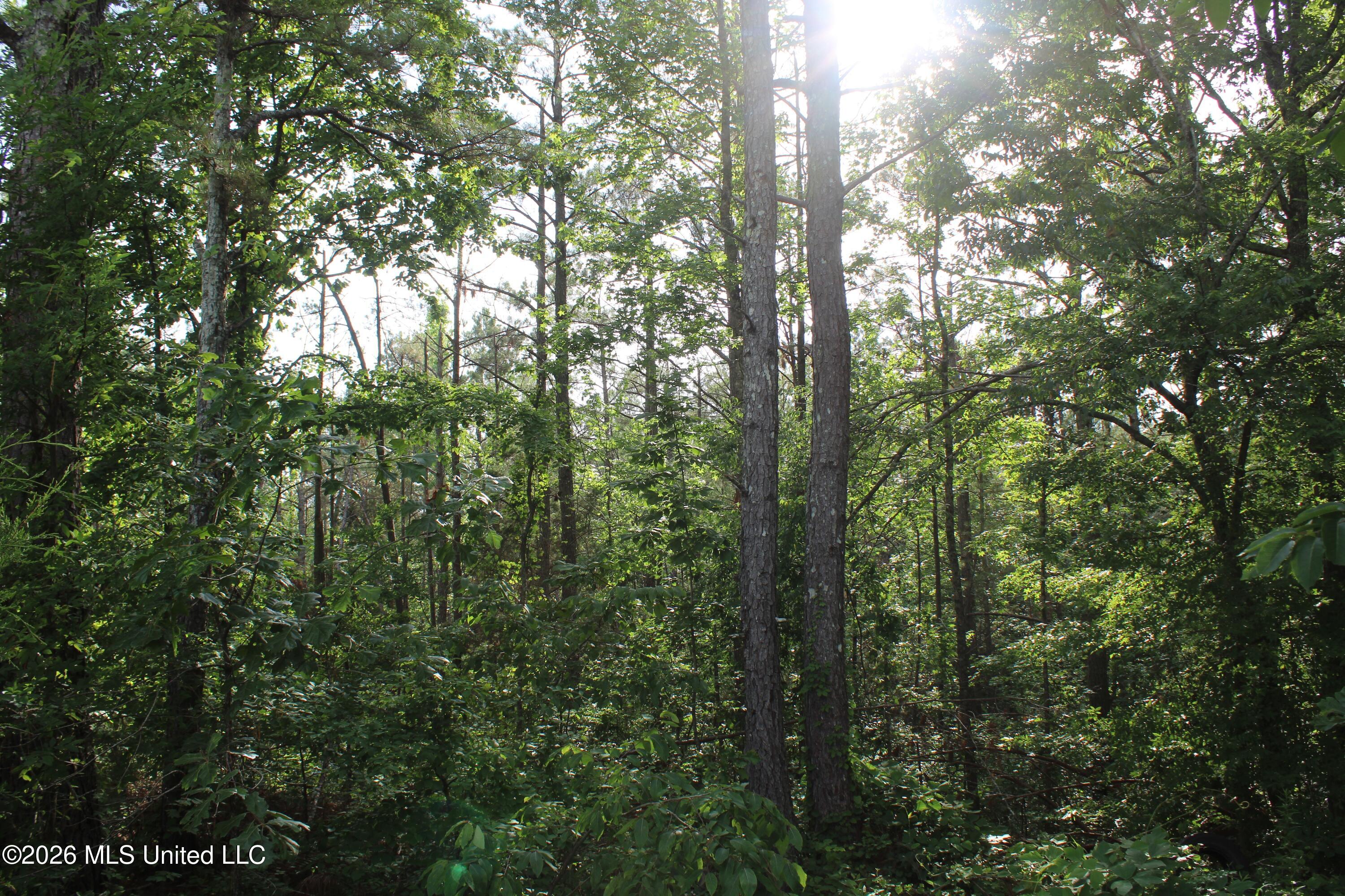 351 Waites Road Holly Springs, MS 38635 - Photo 12 of 15 IMG_7945