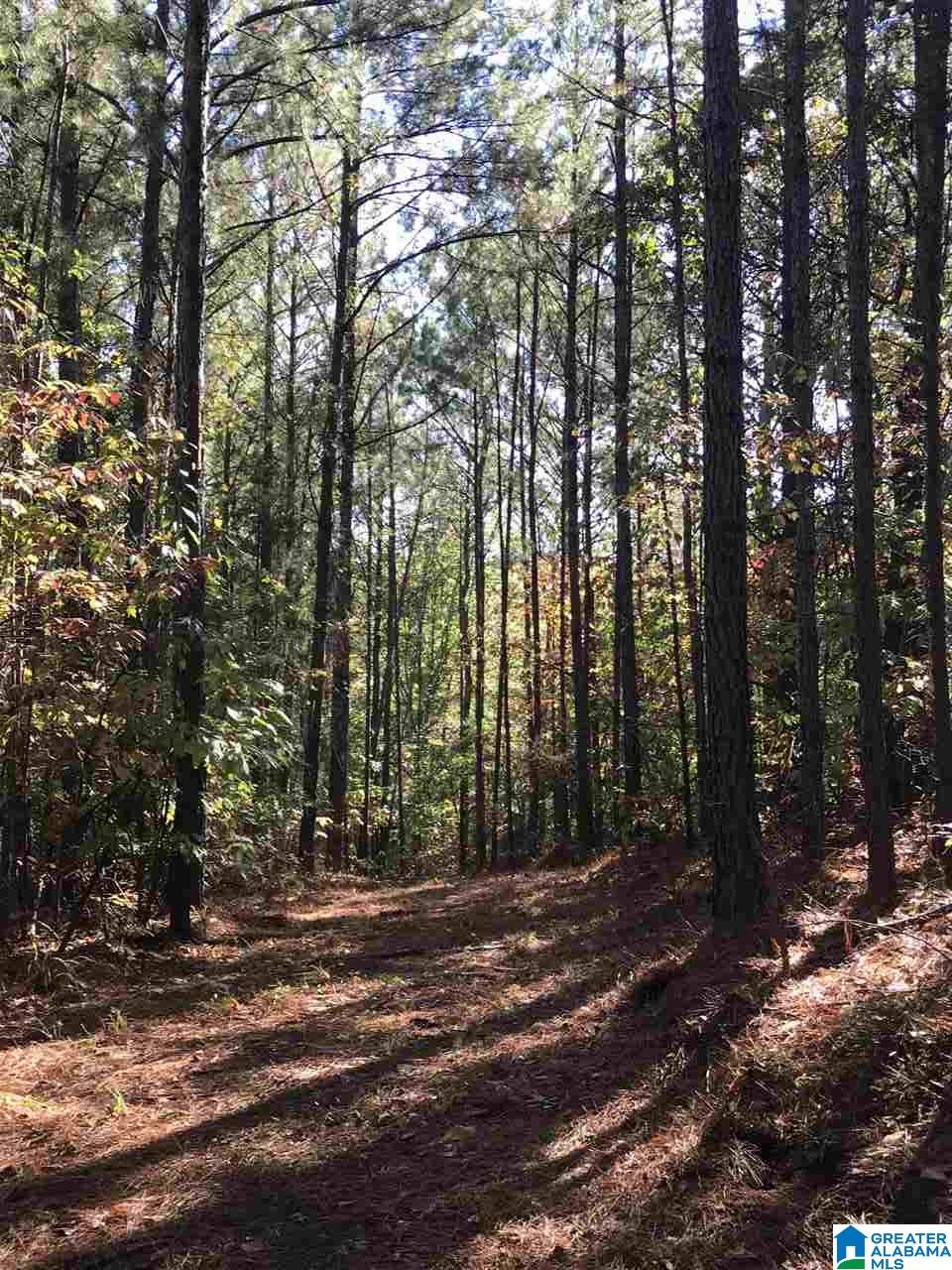 0 County Road 546 Verbena, AL 36091 - Photo 7 of 13