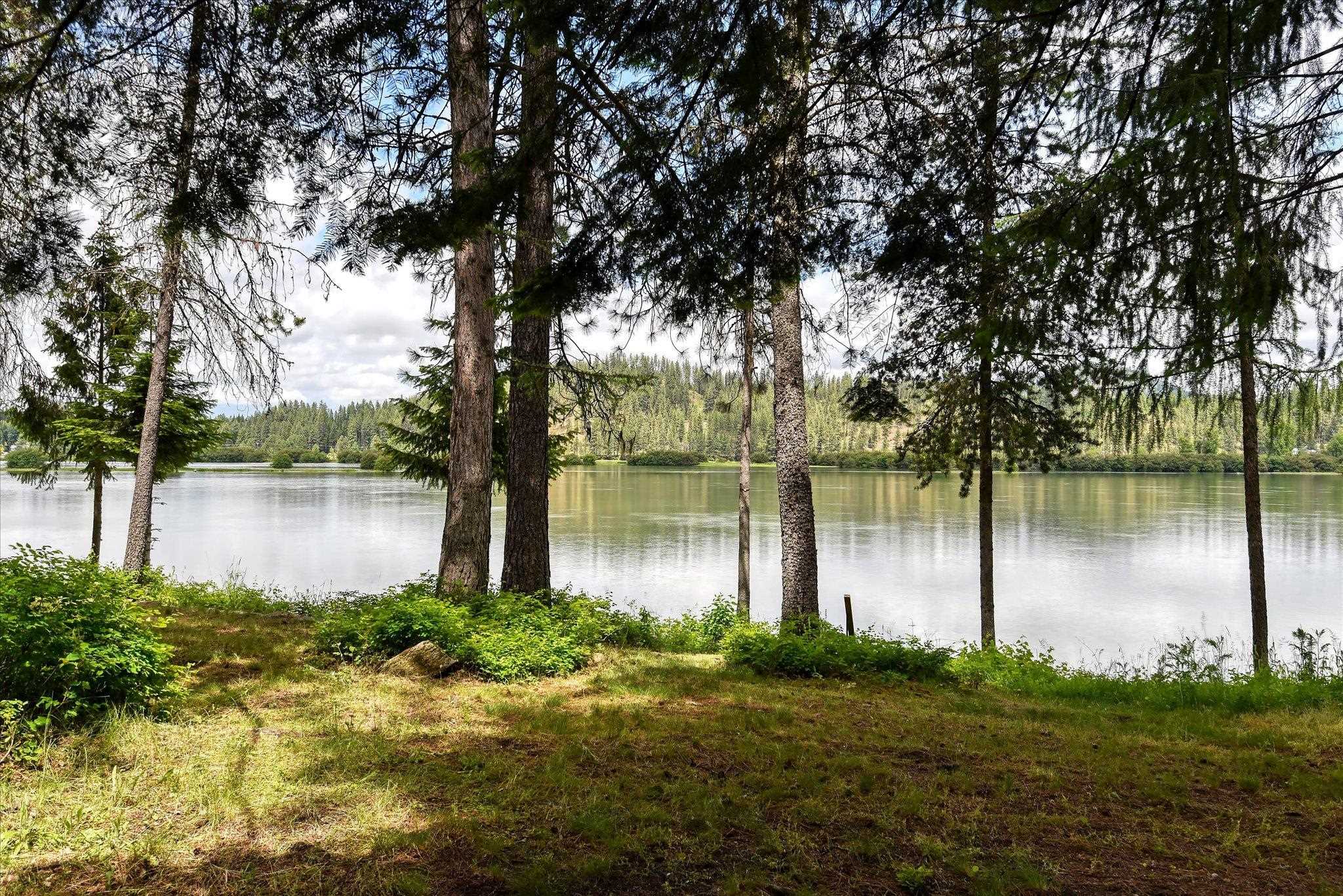 442 Levitch Road Newport, WA 99156 - Photo 38 of 50