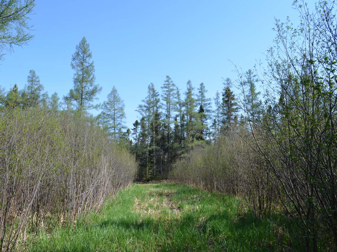 On Kaphaem Road Tomahawk, WI 54487 - Photo 17 of 20 Gallery Image 17
