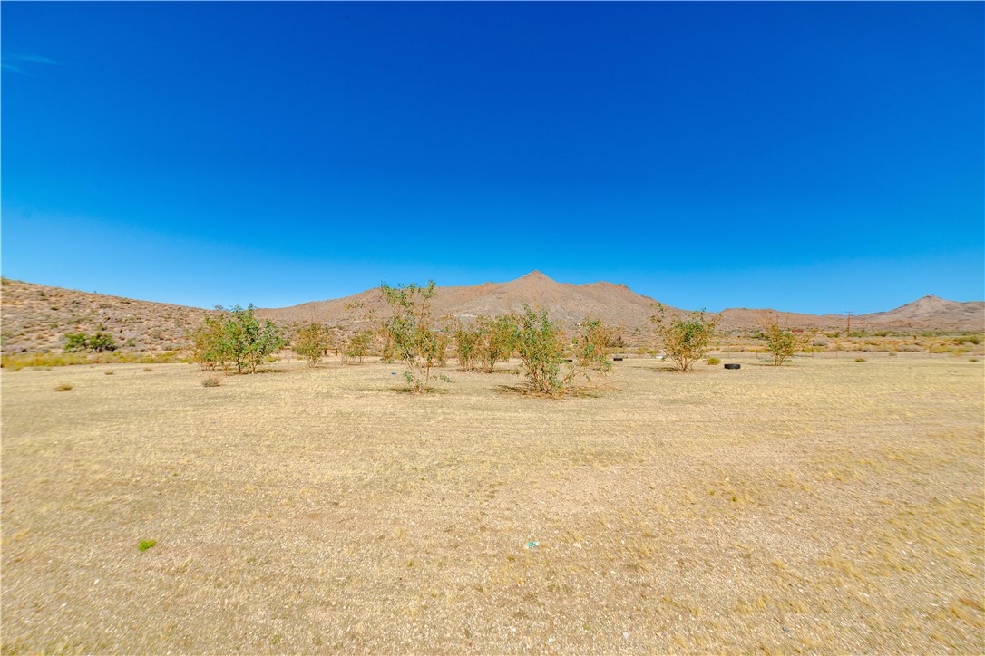 9769 North Rose Quartz Road Chloride, AZ 86431 - Photo 14 of 91 View