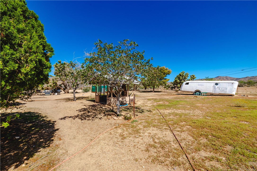 9769 North Rose Quartz Road Chloride, AZ 86431 - Photo 38 of 91 a view of a yard with an tree