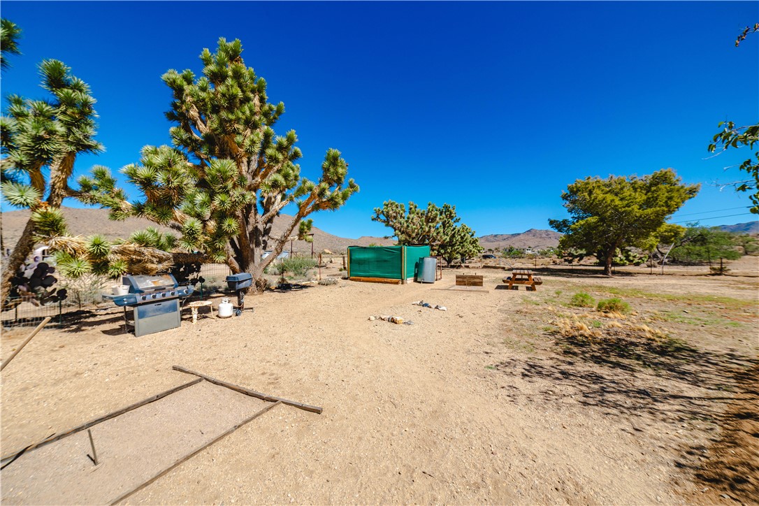 9769 North Rose Quartz Road Chloride, AZ 86431 - Photo 42 of 91 Community