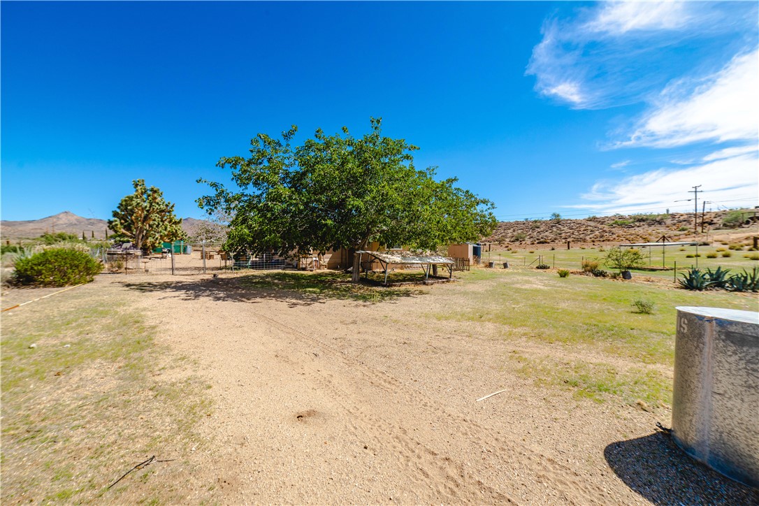 9769 North Rose Quartz Road Chloride, AZ 86431 - Photo 72 of 91 Yard