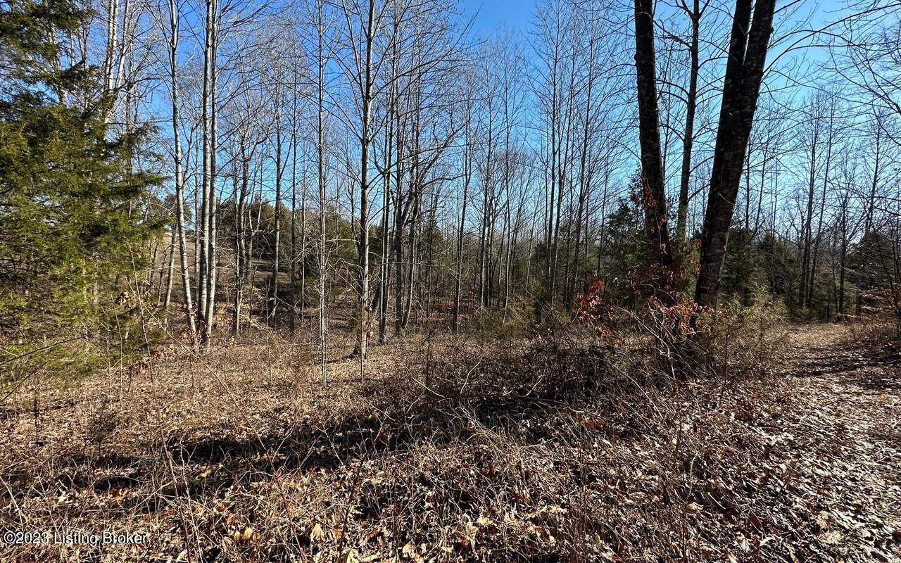 5984 B Sadler Road Leitchfield, KY 42754 - Photo 7 of 16 Sadler Rd 24 acfes6