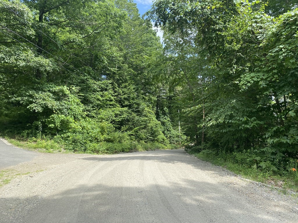 Lot 13 Howes Road Shelburne Falls, MA 01370 - Photo 8 of 8 Gallery Image 8