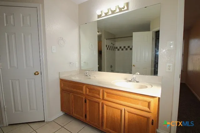 a bathroom with a sink and a mirror