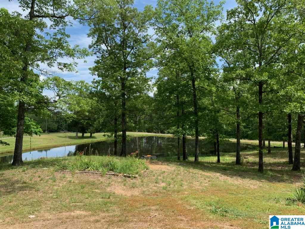2432 Florida Road Pell City, AL 35125 - Photo 4 of 5