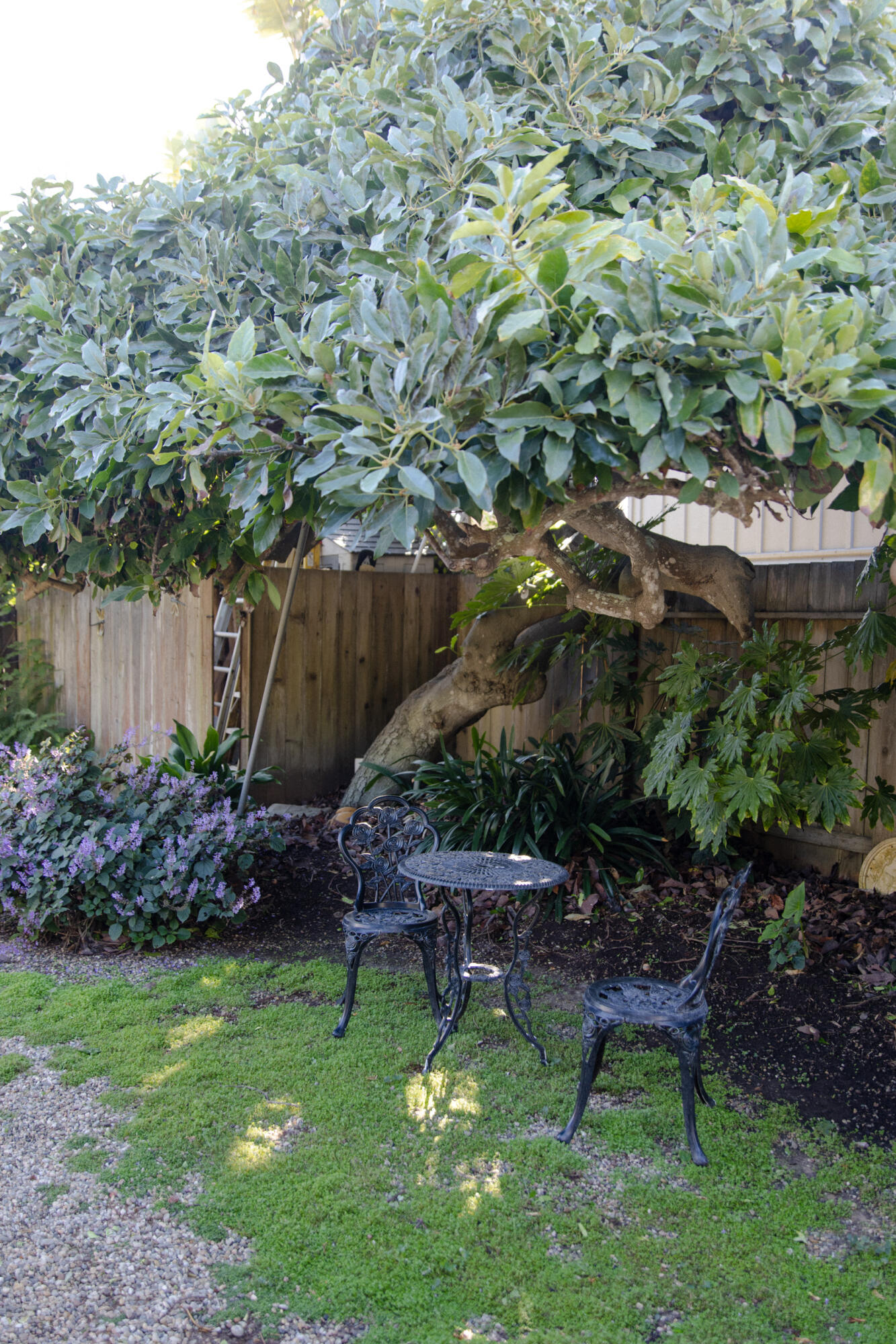 3201 Beach Club Road Carpinteria, CA 93013 - Photo 34 of 42 maia-86