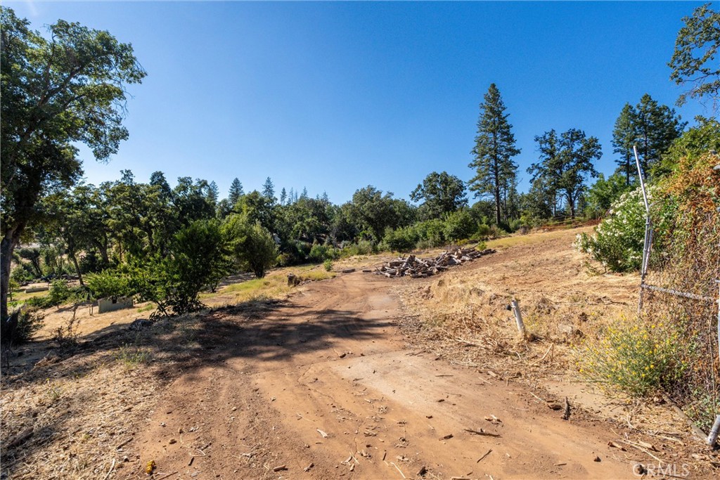 1557 La Grand View Road Paradise, CA 95969 - Photo 13 of 34 a view of a dry yard with trees in the background