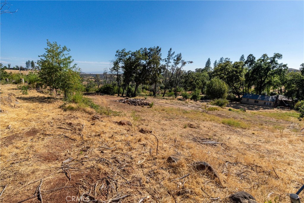 1557 La Grand View Road Paradise, CA 95969 - Photo 14 of 34 a view of a yard with a tree