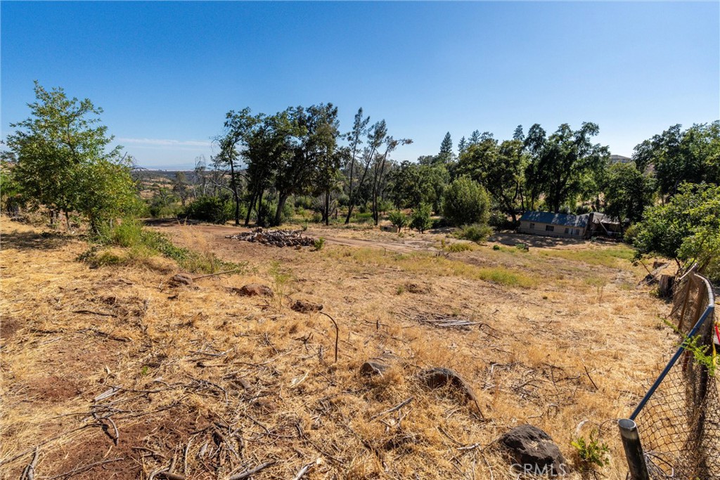 1557 La Grand View Road Paradise, CA 95969 - Photo 15 of 34 a view of a dry yard with trees