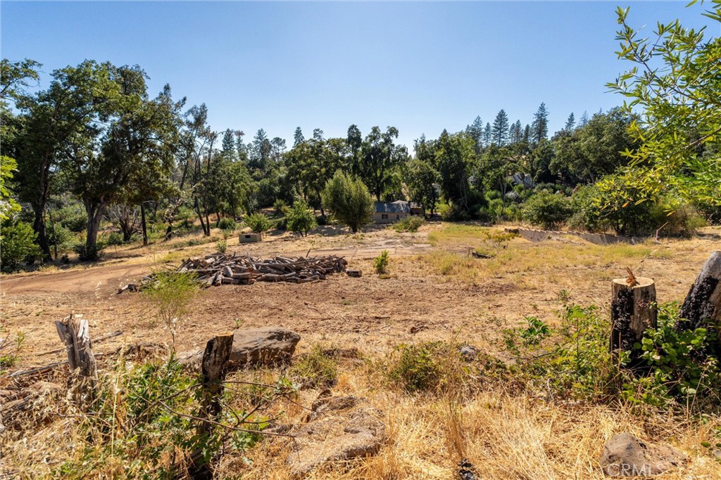 1557 La Grand View Road Paradise, CA 95969 - Photo 16 of 34 a view of a dry yard with trees