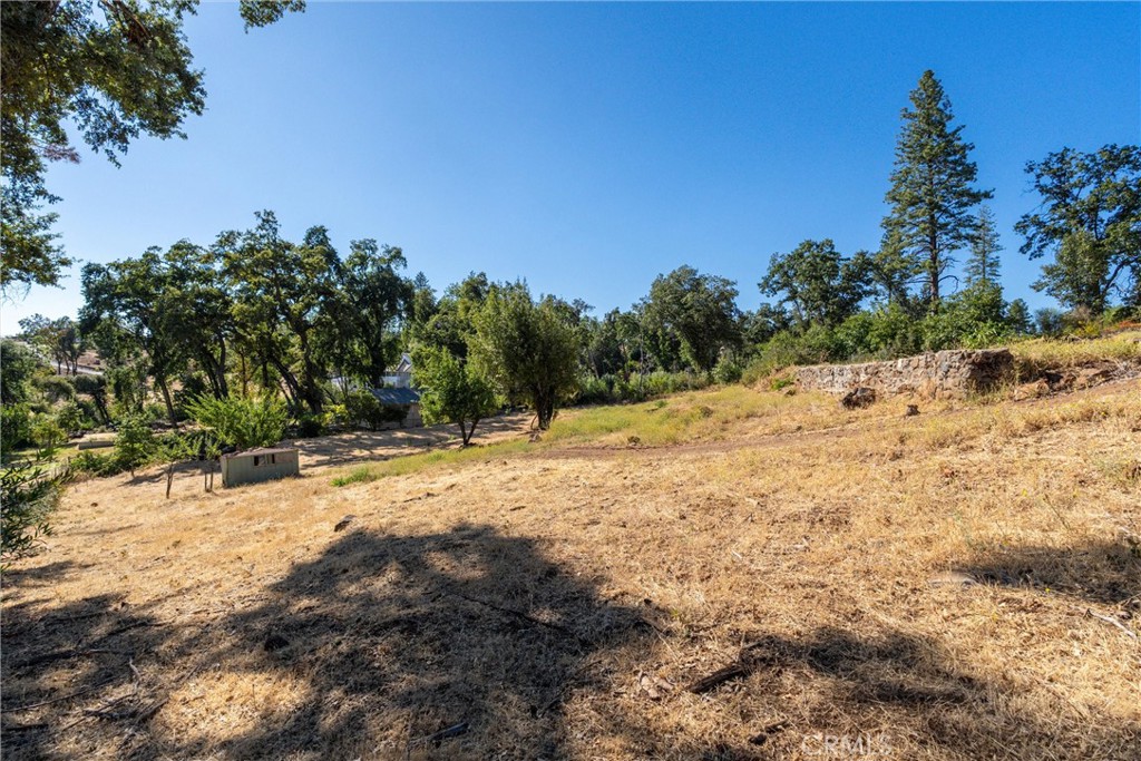 1557 La Grand View Road Paradise, CA 95969 - Photo 17 of 34 a view of a yard with a tree
