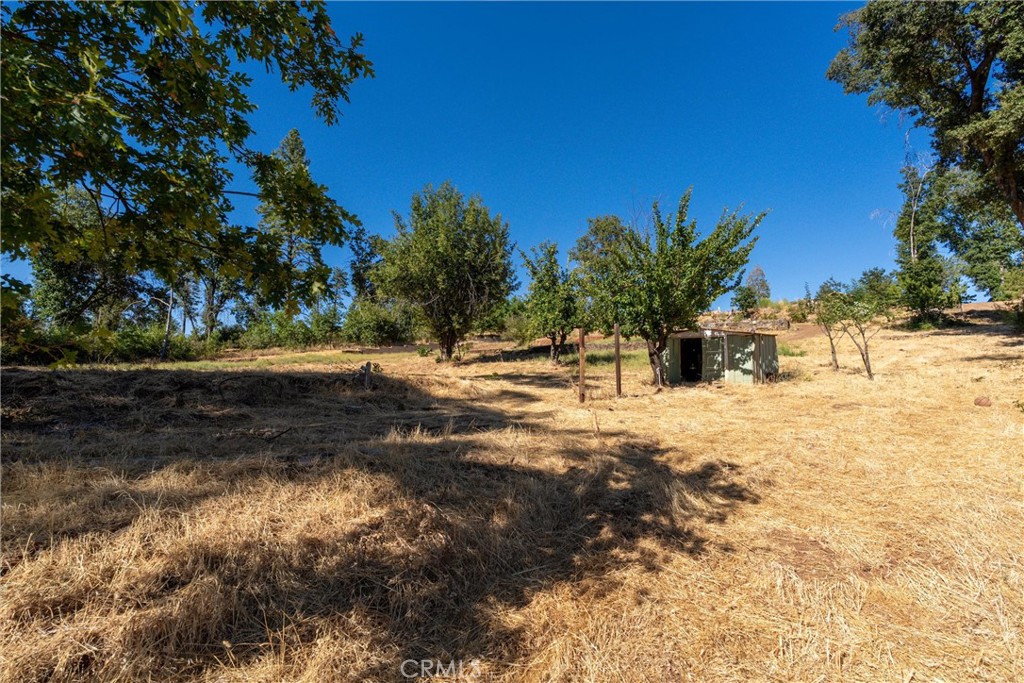 1557 La Grand View Road Paradise, CA 95969 - Photo 18 of 34 a view of a yard with a tree