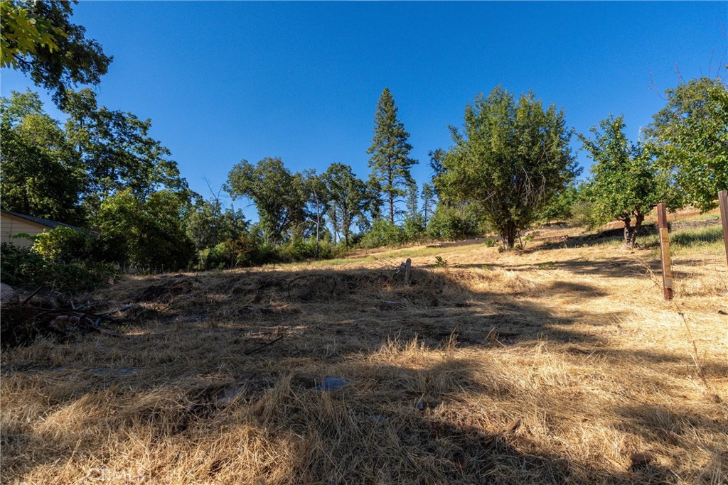1557 La Grand View Road Paradise, CA 95969 - Photo 19 of 34 a view of a yard with a tree