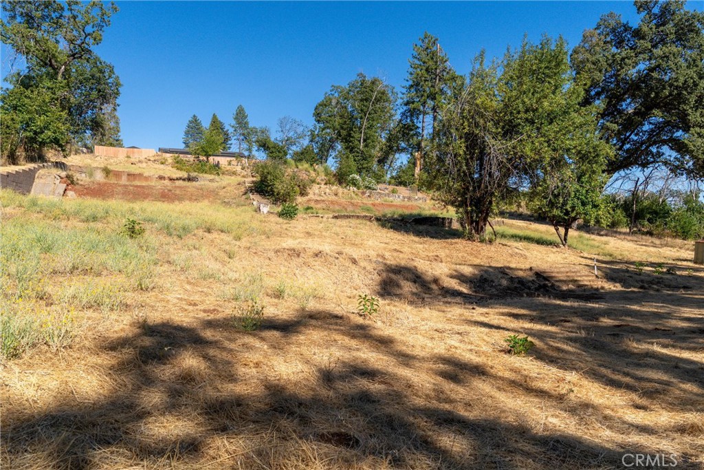 1557 La Grand View Road Paradise, CA 95969 - Photo 23 of 34 a view of a yard with trees