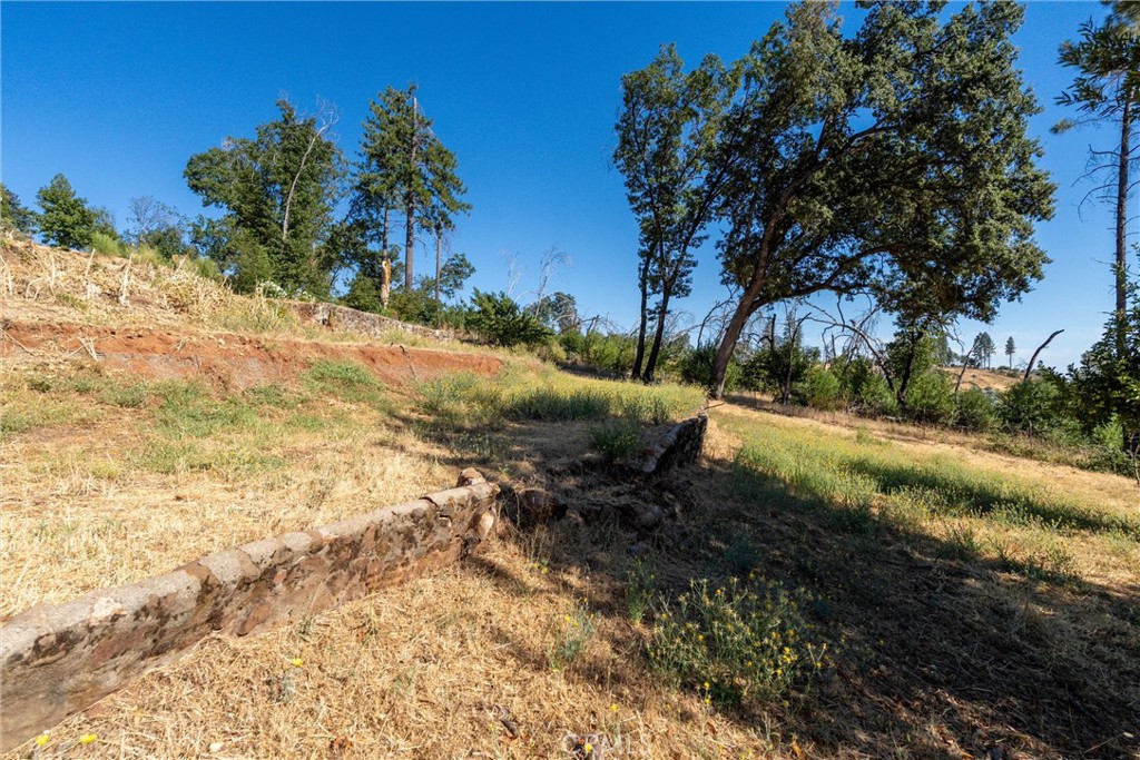 1557 La Grand View Road Paradise, CA 95969 - Photo 26 of 34 a view of a yard with an trees