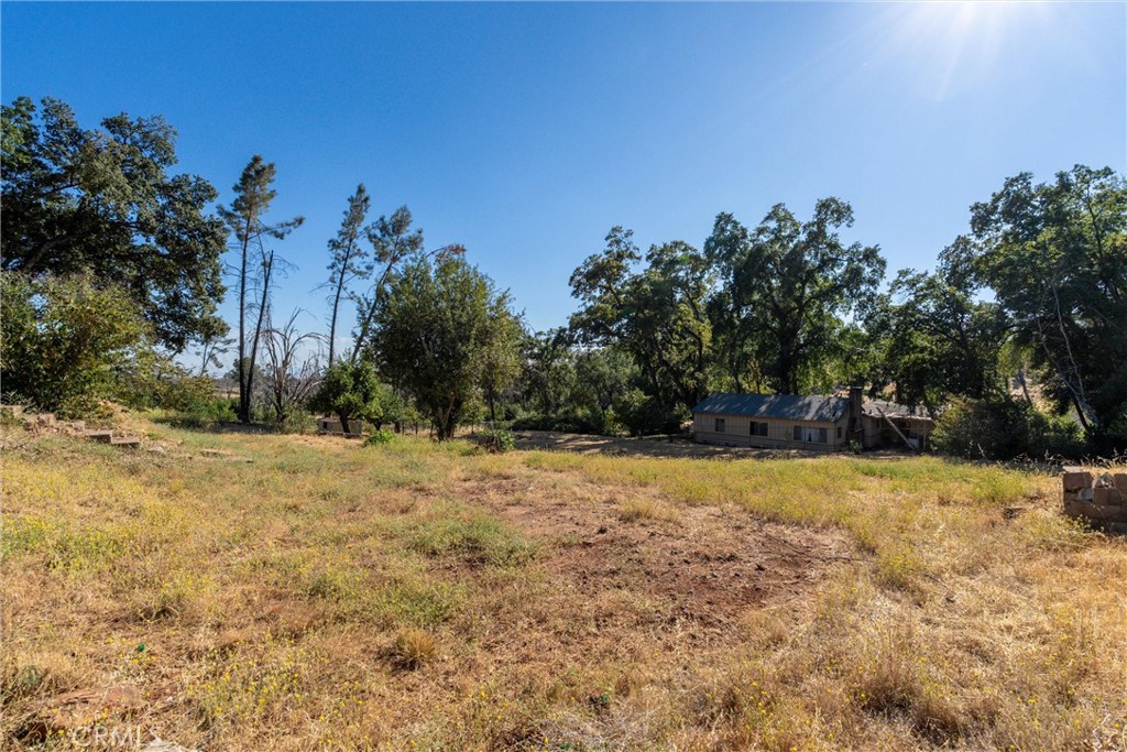 1557 La Grand View Road Paradise, CA 95969 - Photo 27 of 34 a view of a yard with trees in the background