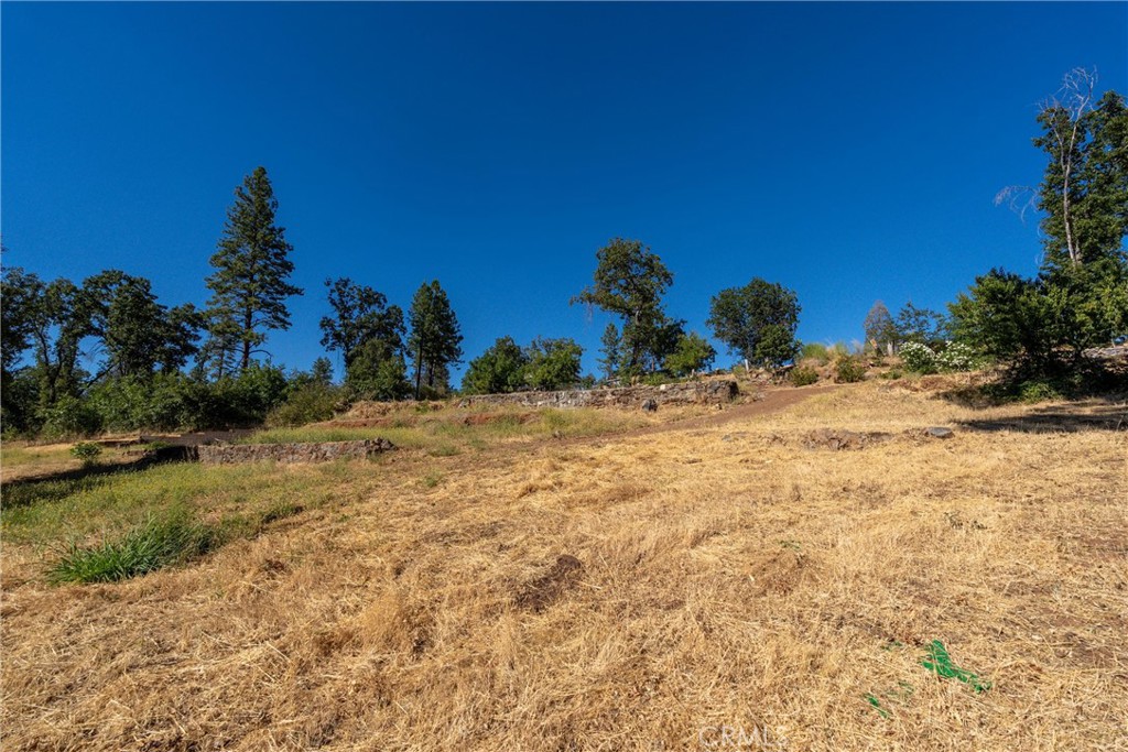 1557 La Grand View Road Paradise, CA 95969 - Photo 3 of 34 a view of a yard with a tree