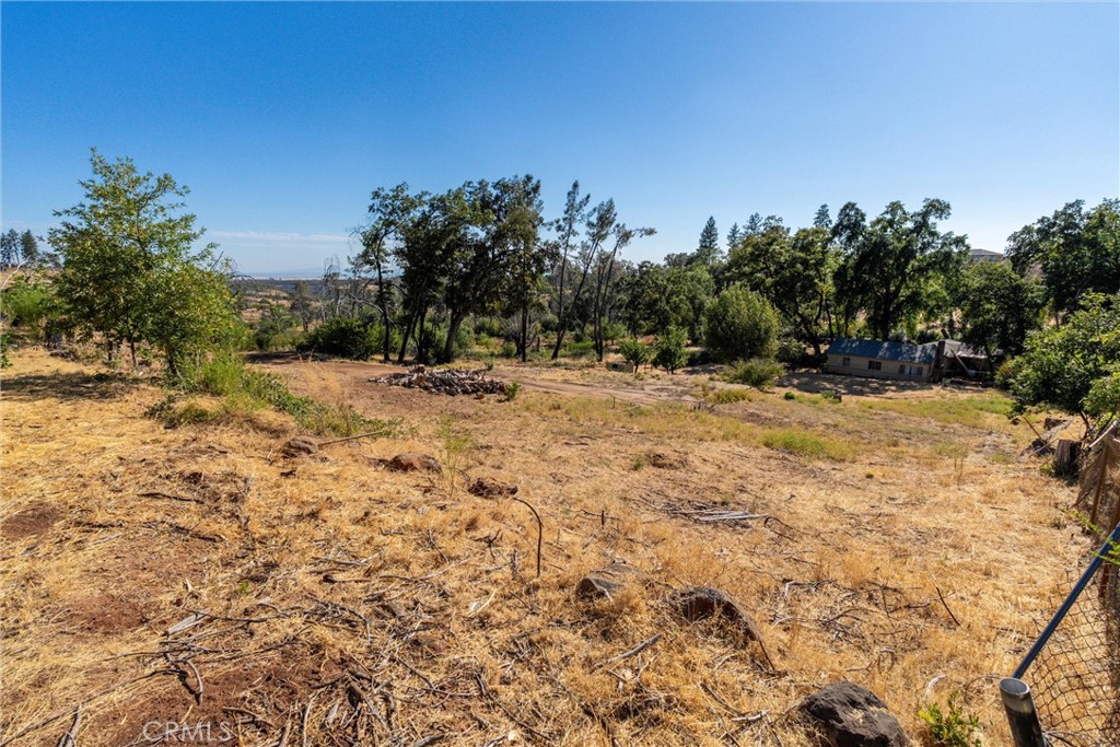 1557 La Grand View Road Paradise, CA 95969 - Photo 34 of 34 a view of a yard with a tree