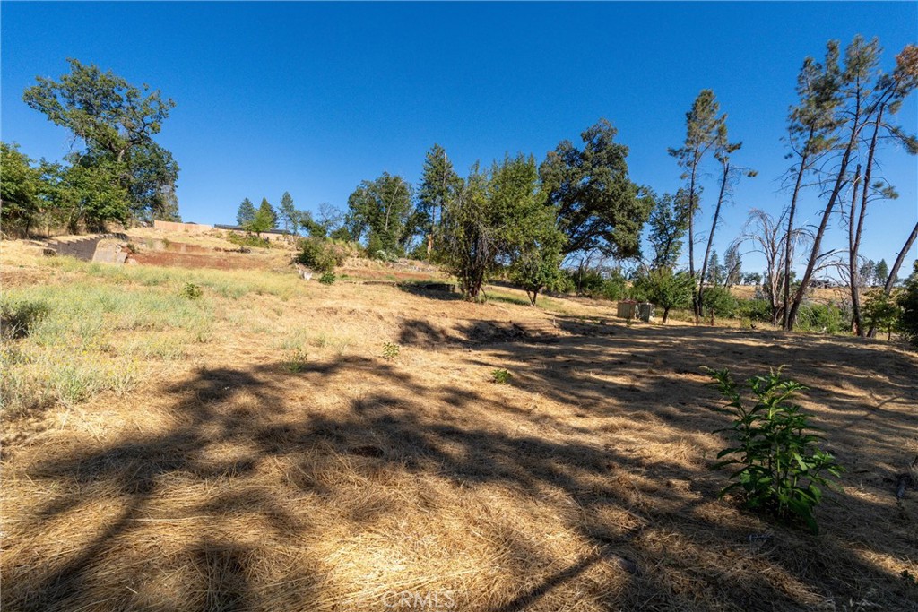 1557 La Grand View Road Paradise, CA 95969 - Photo 5 of 34 a view of a yard with yellow house