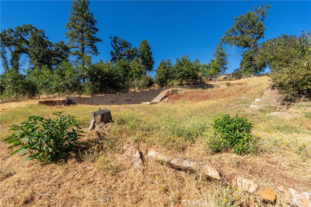 1557 La Grand View Road Paradise, CA 95969 - Photo 6 of 34 a view of a yard with plants and trees