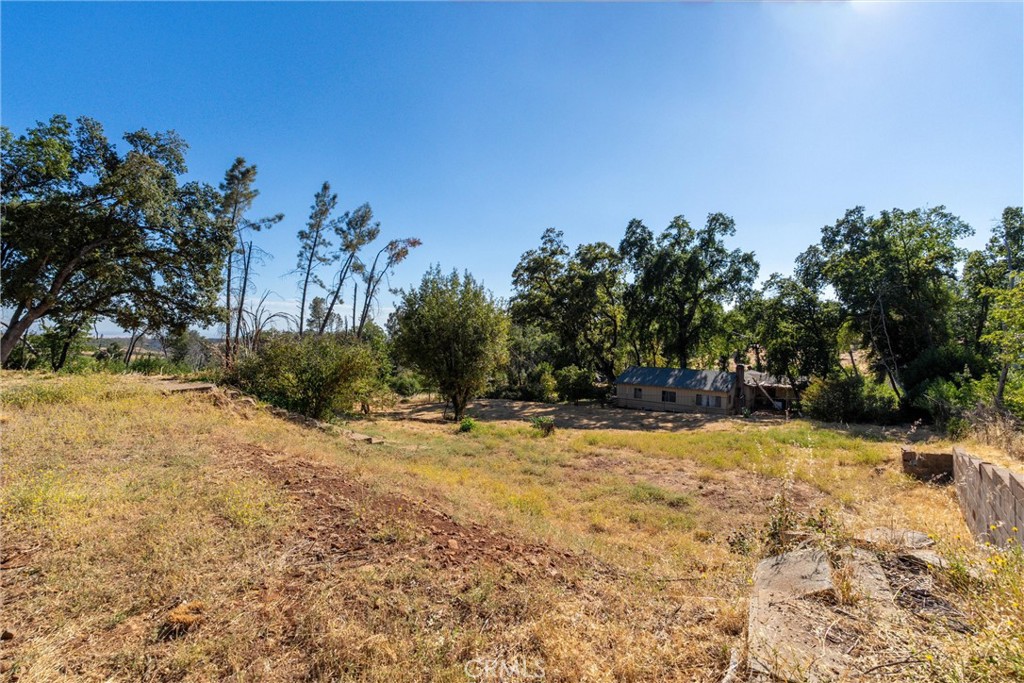 1557 La Grand View Road Paradise, CA 95969 - Photo 7 of 34 a view of a yard with a tree