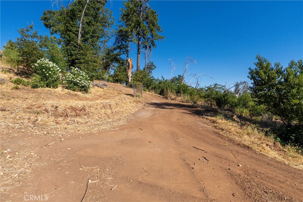 1557 La Grand View Road Paradise, CA 95969 - Photo 9 of 34 a view of a yard with a tree