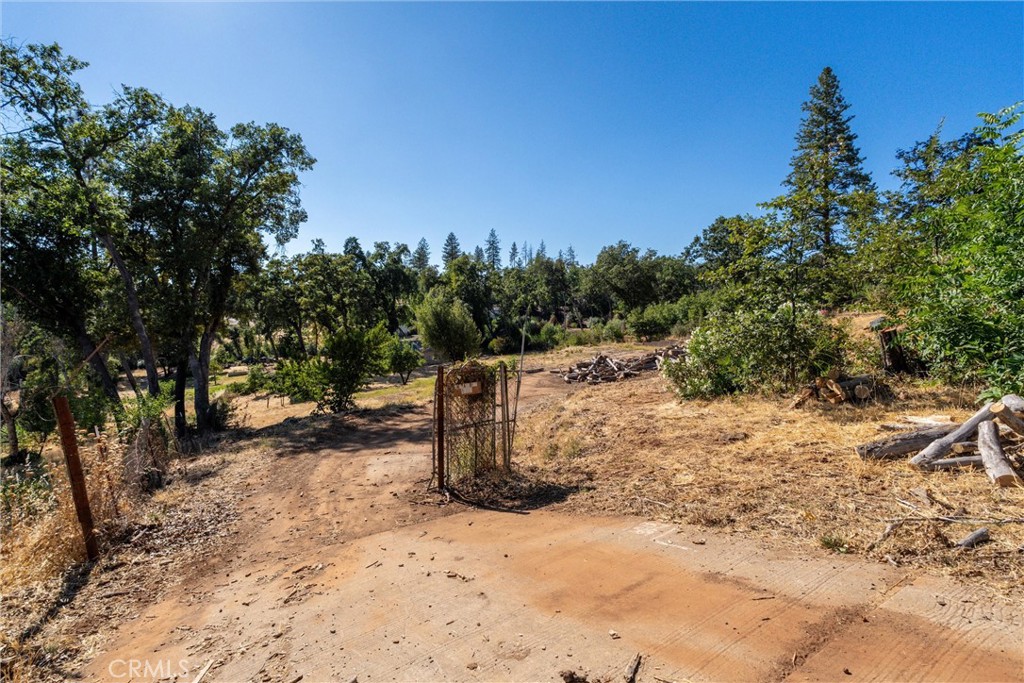 1557 La Grand View Road Paradise, CA 95969 - Photo 10 of 34 a view of a dry yard with trees