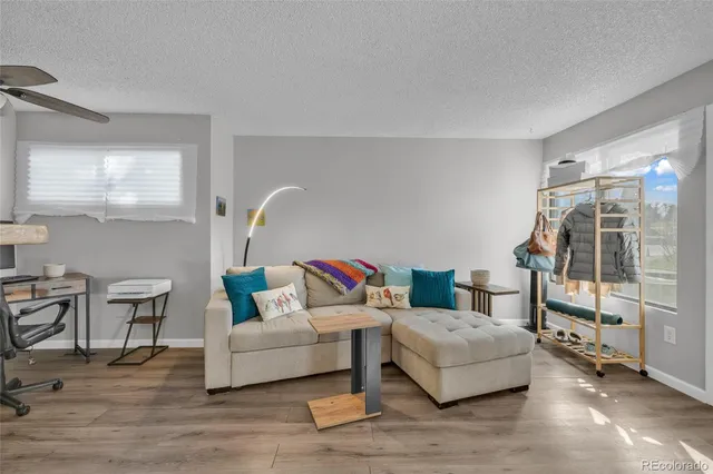 a living room with furniture and a rug