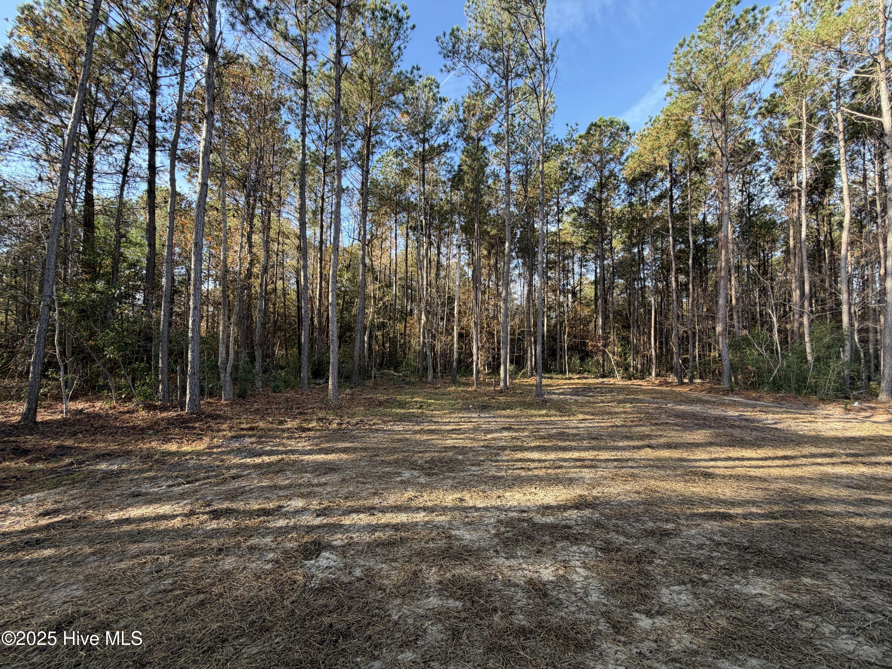 1152 Watts Landing Road Hampstead, NC 28443 - Photo 13 of 17 Hugh lot with No HOA