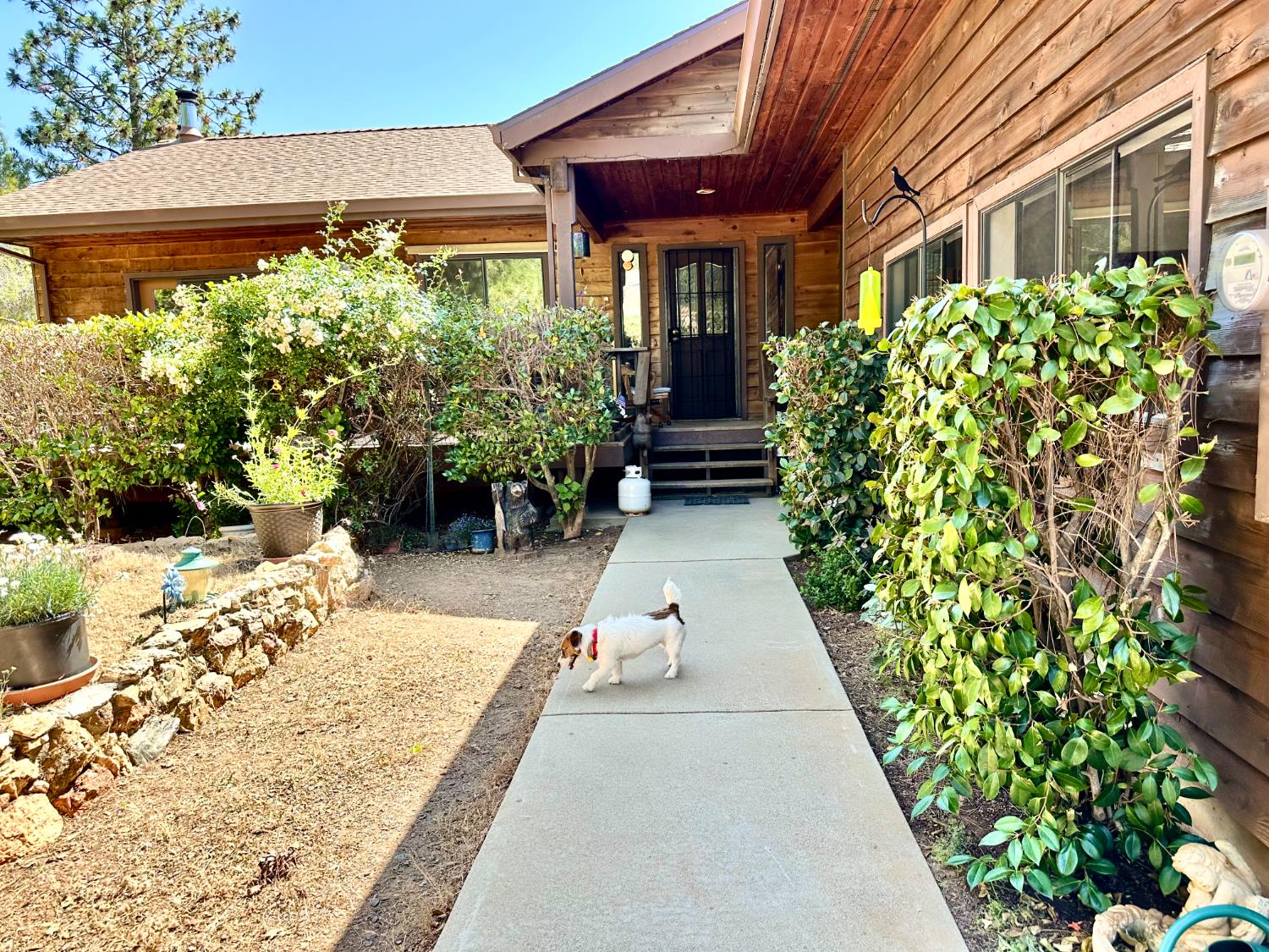 4022 Sheep Ranch Road Murphys, CA 95247 - Photo 7 of 81