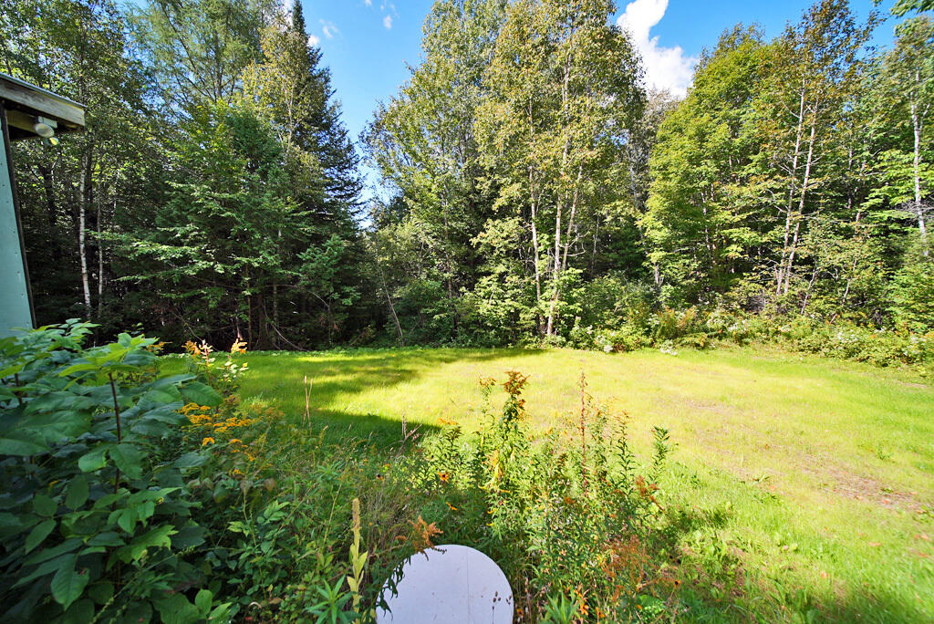 614 Shin Pond Road Patten, ME 04765 - Photo 34 of 51 open-lawn-area-patten-cabin