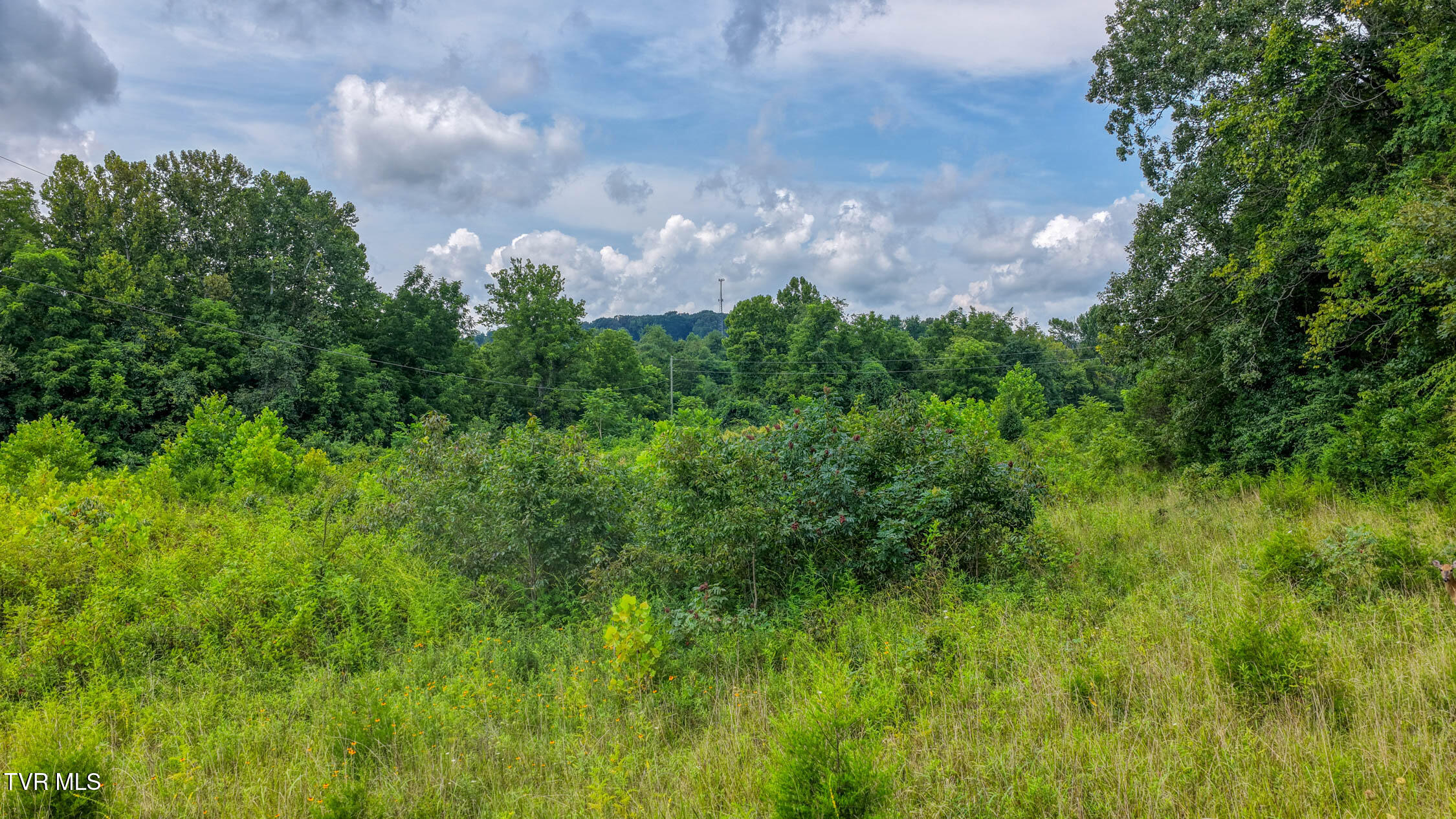 0 Burlington Road, Unit 6 Church Hill, TN 37642 - Photo 18 of 22 Burlington. CH 2 37ac (17 of 22)