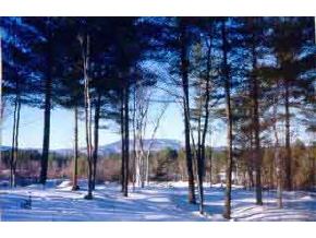 63 Colton Ridge Road Tamworth, NH 03817 - Photo 1 of 4 Gallery Image 1