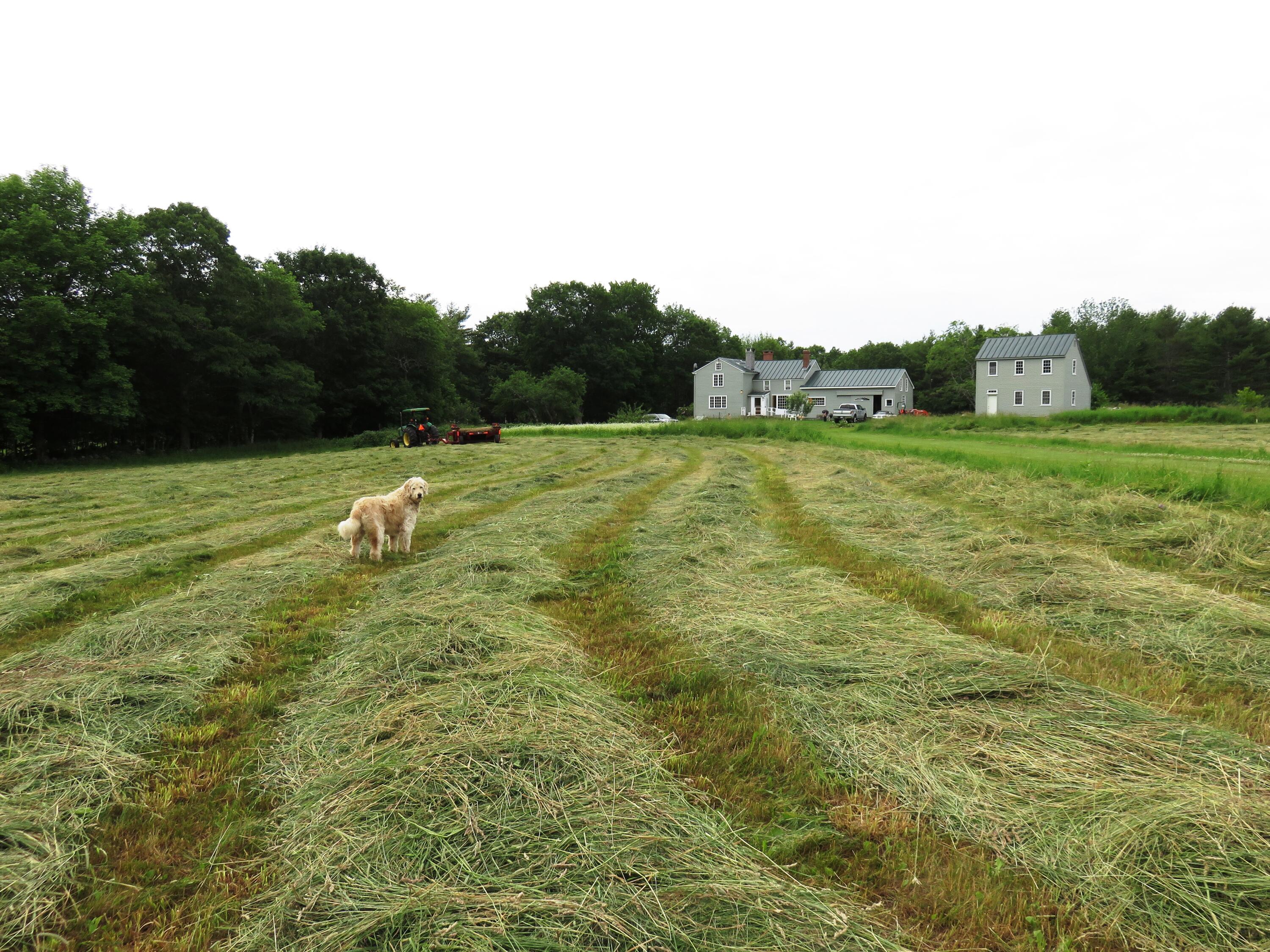 208 Winston Road Waldoboro, ME 04572 - Photo 97 of 99 IMG_0657 (1)