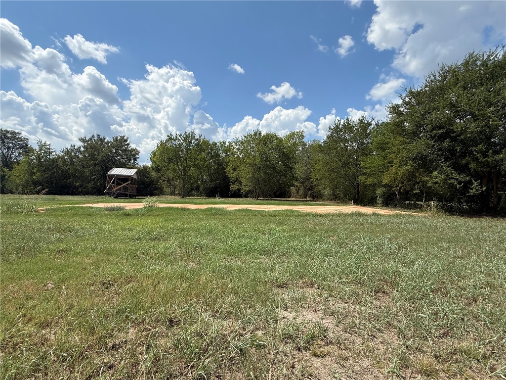 Tbd King Road North Zulch, TX 77872 - Photo 1 of 4 Gallery Image 1