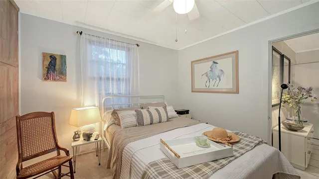 a backyard of a house with plants and large tree