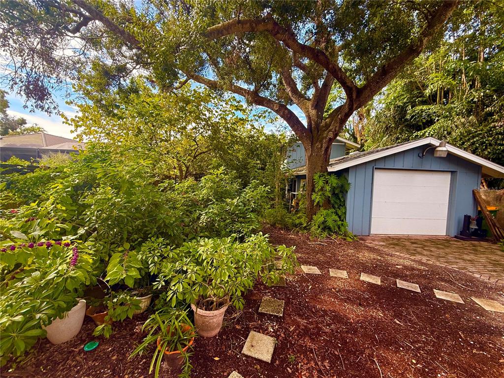 1702 Hillview Street Sarasota, FL 34239 - Photo 5 of 67 a view of a backyard of the house