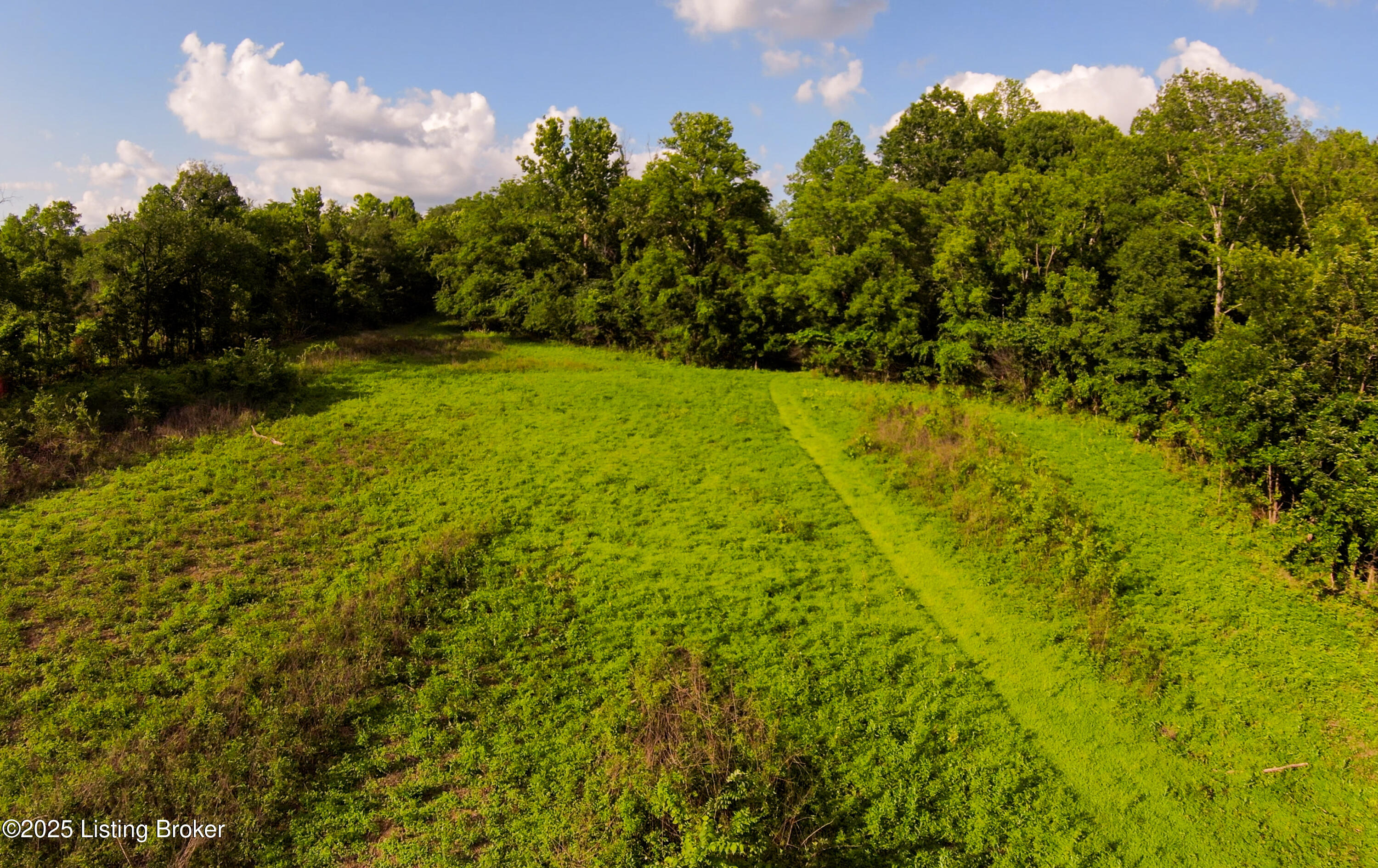 0 Grayson Springs Road Leitchfield, KY 42754 - Photo 28 of 35 12