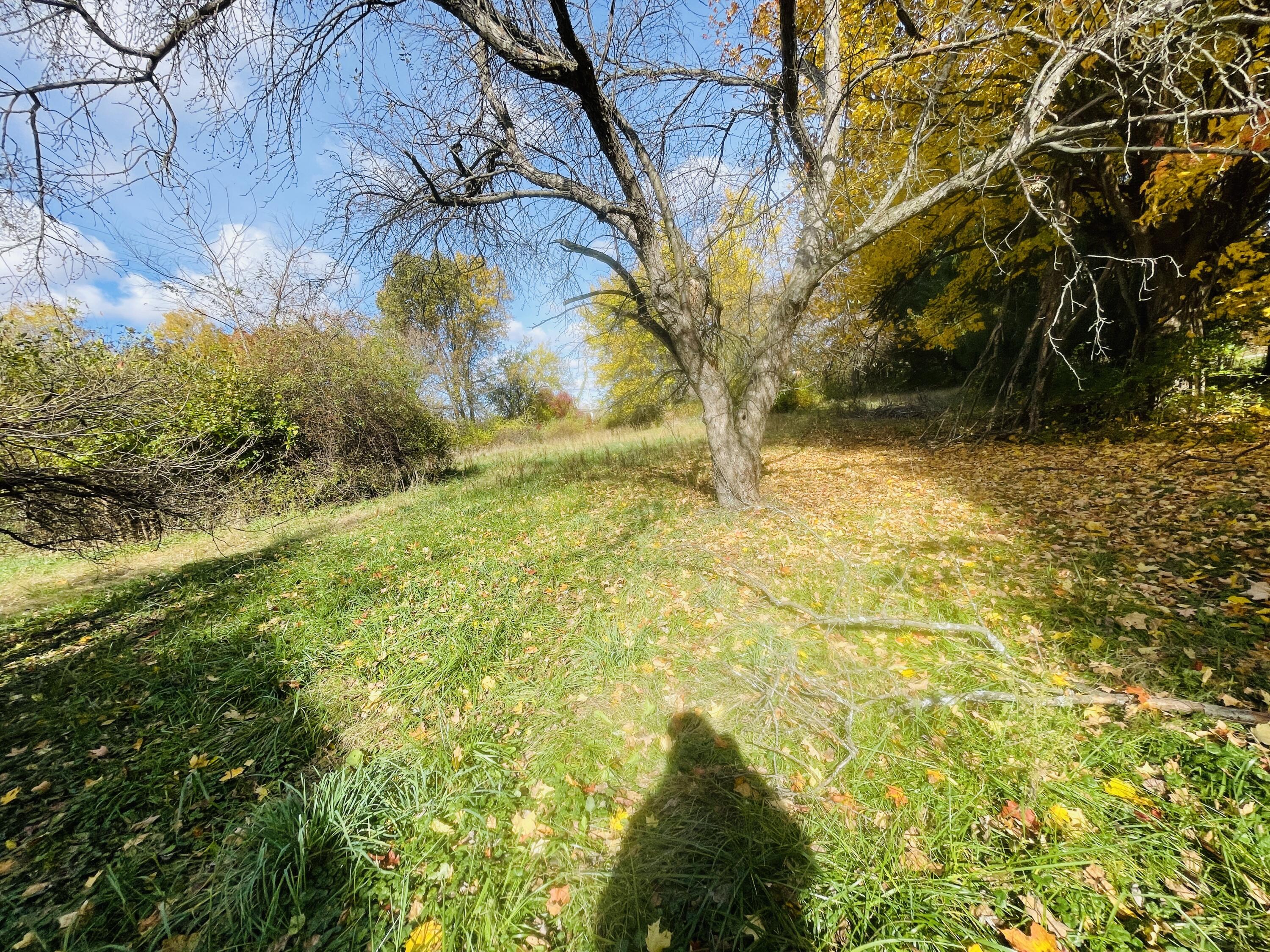 1864 Chapel Road Parma, MI 49269 - Photo 15 of 21 IMG_4009