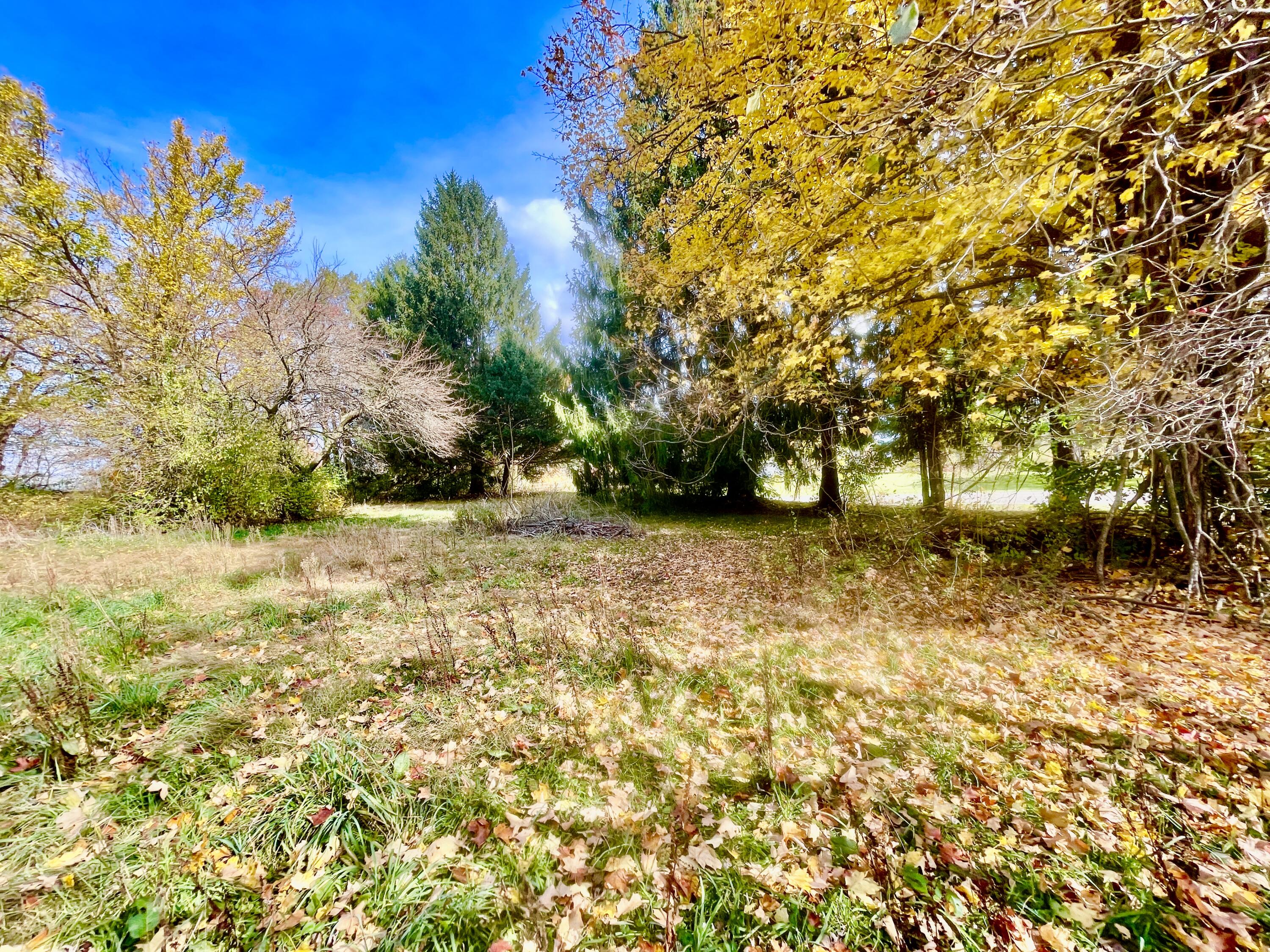 1864 Chapel Road Parma, MI 49269 - Photo 18 of 21 IMG_4013