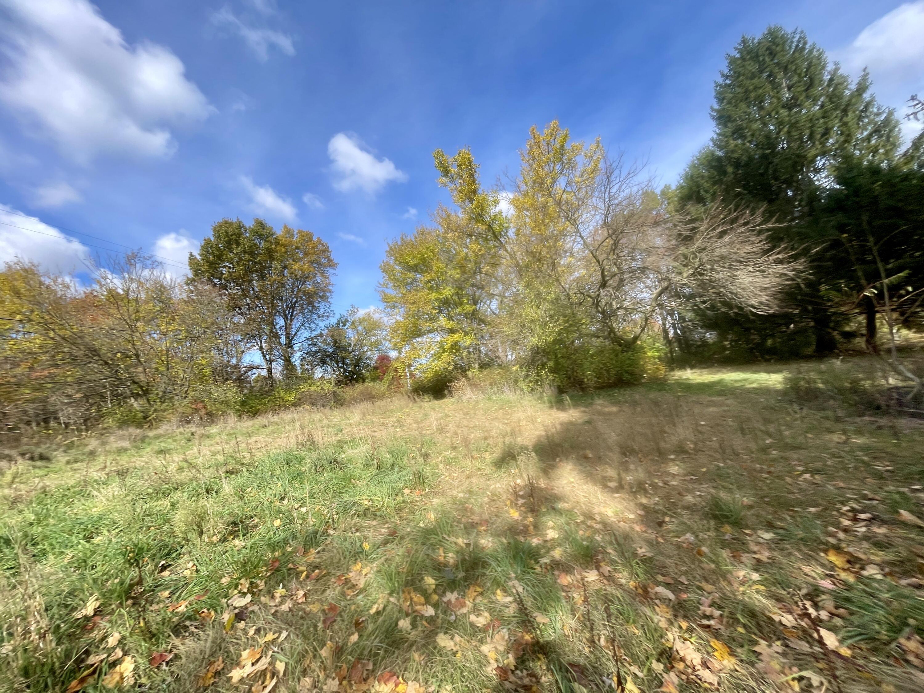 1864 Chapel Road Parma, MI 49269 - Photo 19 of 21 IMG_4016